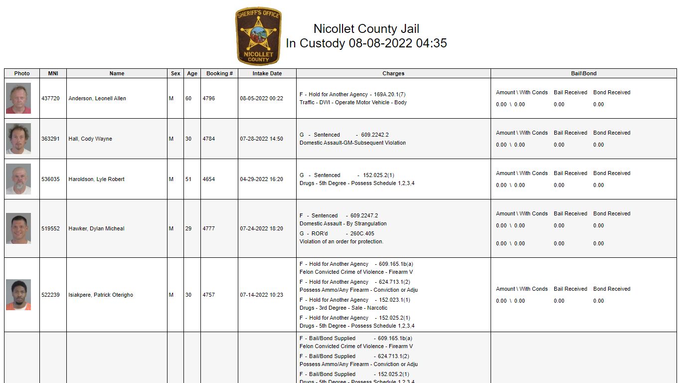 Custody - Nicollet County, Minnesota
